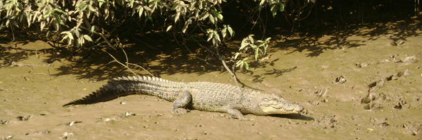 Image 02