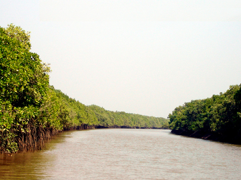 Image 01